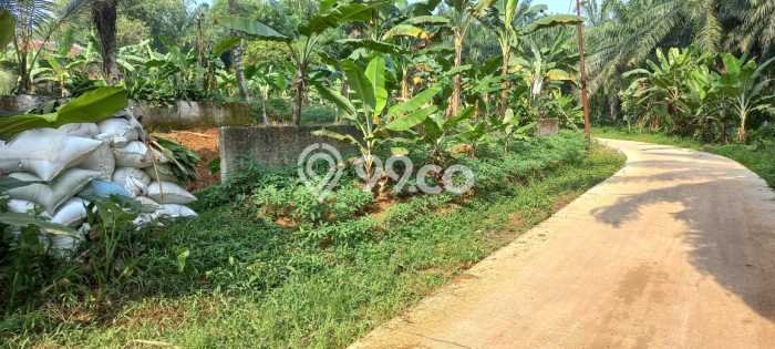 Tanah Kavling di Ranca Bungur Dijual dengan Luas 137m2 Tanah Kavling di Ranca Bungur Dijual dengan Luas 137m2