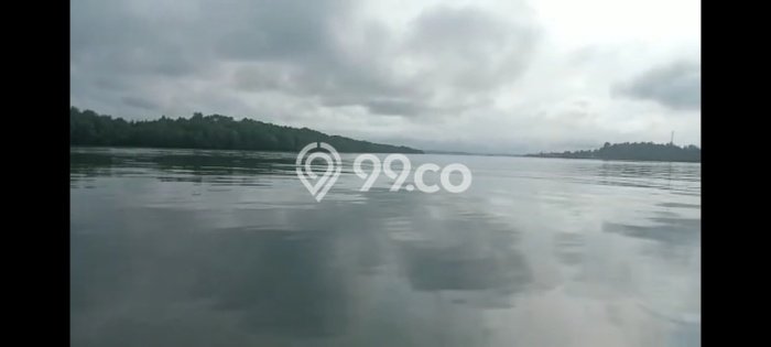 Kavling Tanah Dijual di Penajam Penajam Paser Utara Spesifikasi 1e+06m2 Kavling Tanah Dijual di Penajam Penajam Paser Utara Spesifikasi 1e+06m2