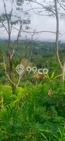 Dijual Tanah di Payangan Gianyar Luas 20200m2 SHM Dijual Tanah di Payangan Gianyar Luas 20200m2 SHM