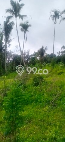 Dijual Tanah di Payangan Gianyar Luas 20200m2 SHM Dijual Tanah di Payangan Gianyar Luas 20200m2 SHM