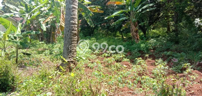 Untuk Dijual Tanah di Ungaran Timur Semarang Luas 3450m2 SHM Untuk Dijual Tanah di Ungaran Timur Semarang Luas 3450m2 SHM