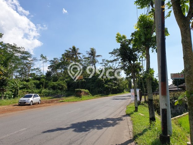 Kavling Tanah Dijual di Pringsurat Temanggung Spesifikasi 4035m2 Kavling Tanah Dijual di Pringsurat Temanggung Spesifikasi 4035m2