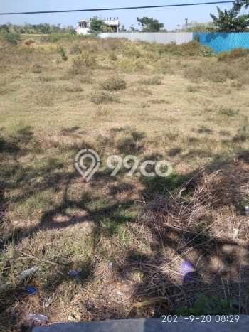 Kavling Tanah di Jenu Dijual Luas 8000m2 Legalitas - Kavling Tanah di Jenu Dijual Luas 8000m2 Legalitas -