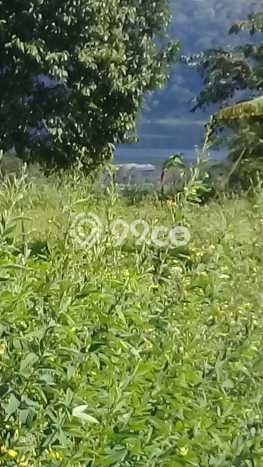Dijual Tanah Lokasi Bedugul, Tabanan Seluas 8800m2 Dijual Tanah Lokasi Bedugul, Tabanan Seluas 8800m2
