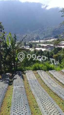 Dijual Tanah Lokasi Bedugul, Tabanan Seluas 8800m2 Dijual Tanah Lokasi Bedugul, Tabanan Seluas 8800m2
