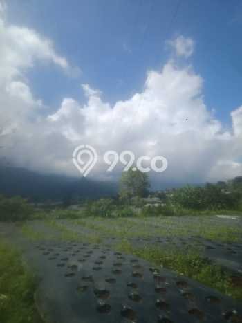 Dijual Tanah Lokasi Bedugul, Tabanan Seluas 8800m2 Dijual Tanah Lokasi Bedugul, Tabanan Seluas 8800m2
