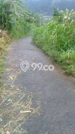 Dijual Tanah Lokasi Bedugul, Tabanan Seluas 8800m2 Dijual Tanah Lokasi Bedugul, Tabanan Seluas 8800m2