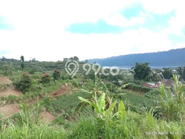 Dijual Tanah Lokasi Bedugul, Tabanan Seluas 8800m2 Dijual Tanah Lokasi Bedugul, Tabanan Seluas 8800m2