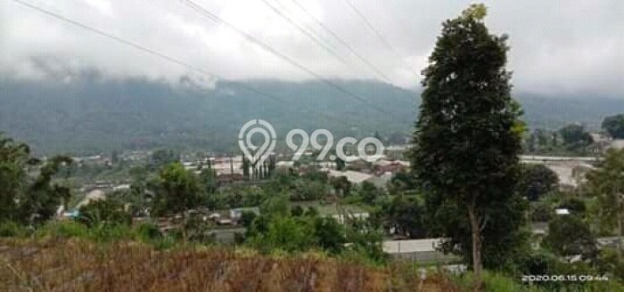 Dijual Tanah Lokasi Bedugul, Tabanan Seluas 8800m2 Dijual Tanah Lokasi Bedugul, Tabanan Seluas 8800m2