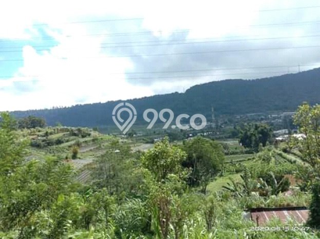 Dijual Tanah Lokasi Bedugul, Tabanan Seluas 8800m2 Dijual Tanah Lokasi Bedugul, Tabanan Seluas 8800m2