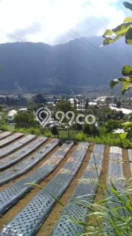 Dijual Tanah Lokasi Bedugul, Tabanan Seluas 8800m2 Dijual Tanah Lokasi Bedugul, Tabanan Seluas 8800m2