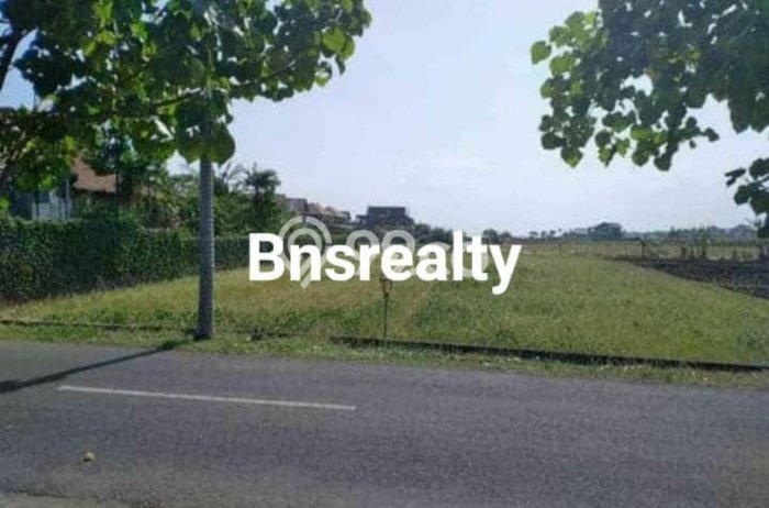 Kavling Tanah untuk Dijual di Cemagi, Badung, Luas 1000m2 Kavling Tanah untuk Dijual di Cemagi, Badung, Luas 1000m2