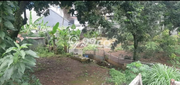 Tanah Siap Bangun Dijual di Bogor Punya Luas 2225m2 Tanah Siap Bangun Dijual di Bogor Punya Luas 2225m2