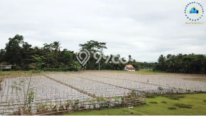Kavling Tanah Dijual di Warunggunung, Lebak, Luas 5380m2 Area Strategis Kavling Tanah Dijual di Warunggunung, Lebak, Luas 5380m2 Area Strategis