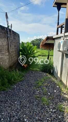 Land Rental Tanah Kawasan Canggu, Luas 600m², Akses Mudah Land Rental Tanah Kawasan Canggu, Luas 600m², Akses Mudah