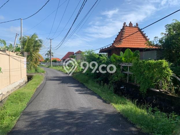 Tanah Investasi Dijual di Badung Punya Luas 5035m2 Tanah Investasi Dijual di Badung Punya Luas 5035m2
