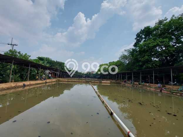 Jarang Ada! Tanah di Sawangan Punya Luas 4650m2 SHM Jarang Ada! Tanah di Sawangan Punya Luas 4650m2 SHM