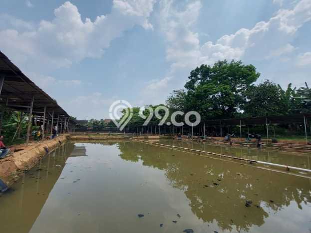 Jarang Ada! Tanah di Sawangan Punya Luas 4650m2 SHM Jarang Ada! Tanah di Sawangan Punya Luas 4650m2 SHM