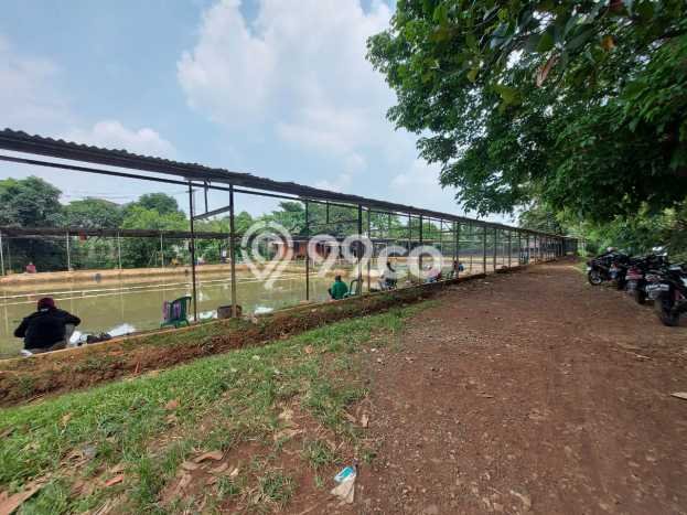 Jarang Ada! Tanah di Sawangan Punya Luas 4650m2 SHM Jarang Ada! Tanah di Sawangan Punya Luas 4650m2 SHM