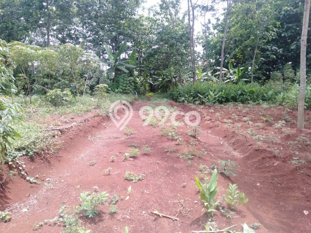 Untuk Dijual Tanah di Tembalang Semarang Luas 150m2 SHM Untuk Dijual Tanah di Tembalang Semarang Luas 150m2 SHM