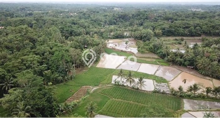 Tanah Dijual Lokasi Warunggunung Lebak SHM Tanah Dijual Lokasi Warunggunung Lebak SHM
