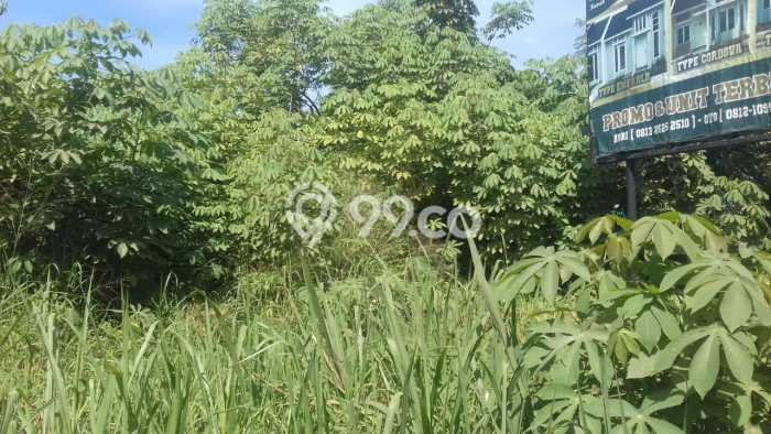 Lahan untuk Dijual di Cisauk Tangerang Luas 5555m2 Lahan untuk Dijual di Cisauk Tangerang Luas 5555m2