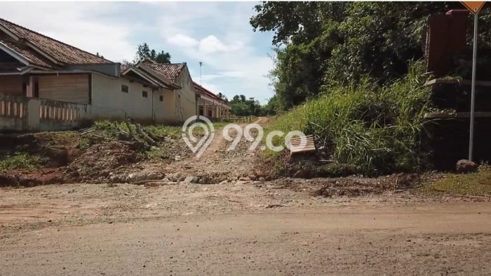 Jarang Ada! Tanah di Rangkasbitung Punya Luas 40000m2 SHM Jarang Ada! Tanah di Rangkasbitung Punya Luas 40000m2 SHM