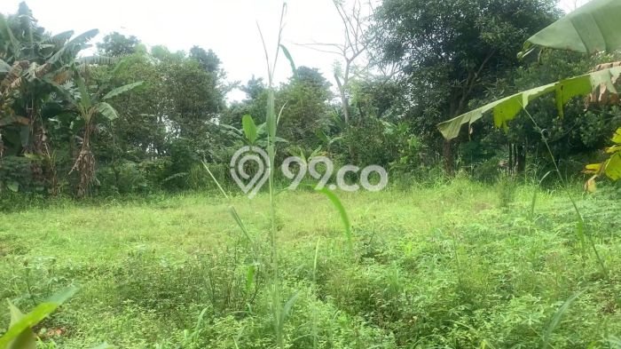 Kavling Tanah Dijual di Legok Tangerang Spesifikasi 13000m2 Kavling Tanah Dijual di Legok Tangerang Spesifikasi 13000m2