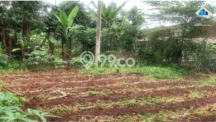 Kavling Tanah Dijual di Legok Tangerang Spesifikasi 13000m2 Kavling Tanah Dijual di Legok Tangerang Spesifikasi 13000m2