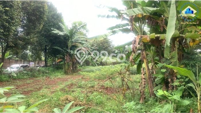 Kavling Tanah Dijual di Legok Tangerang Spesifikasi 13000m2 Kavling Tanah Dijual di Legok Tangerang Spesifikasi 13000m2