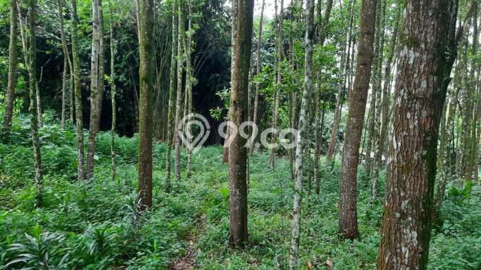 Lahan Kosong Dijual di Bogor dengan Area 4000m2 Lahan Kosong Dijual di Bogor dengan Area 4000m2