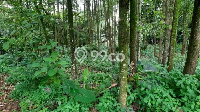 Lahan Kosong Dijual di Bogor dengan Area 4000m2 Lahan Kosong Dijual di Bogor dengan Area 4000m2