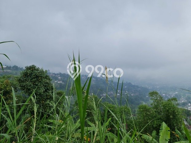 Lahan Investasi Lokasi Ngargoyoso Karanganyar SHM Lahan Investasi Lokasi Ngargoyoso Karanganyar SHM