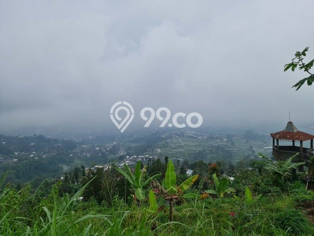 Lahan Investasi Lokasi Ngargoyoso Karanganyar SHM Lahan Investasi Lokasi Ngargoyoso Karanganyar SHM
