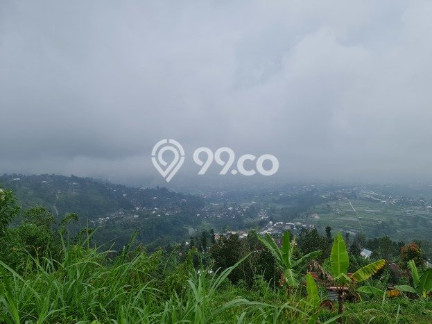 Lahan Investasi Lokasi Ngargoyoso Karanganyar SHM Lahan Investasi Lokasi Ngargoyoso Karanganyar SHM