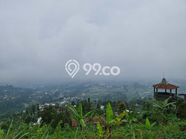 Lahan Investasi Lokasi Ngargoyoso Karanganyar SHM Lahan Investasi Lokasi Ngargoyoso Karanganyar SHM