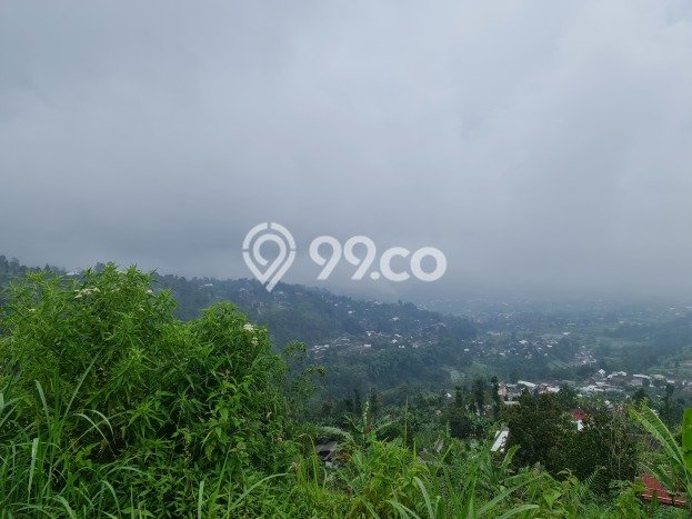 Lahan Investasi Lokasi Ngargoyoso Karanganyar SHM Lahan Investasi Lokasi Ngargoyoso Karanganyar SHM