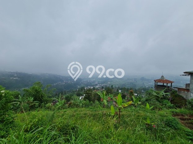 Lahan Investasi Lokasi Ngargoyoso Karanganyar SHM Lahan Investasi Lokasi Ngargoyoso Karanganyar SHM
