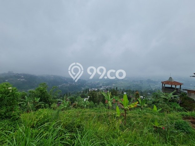 Lahan Investasi Lokasi Ngargoyoso Karanganyar SHM Lahan Investasi Lokasi Ngargoyoso Karanganyar SHM