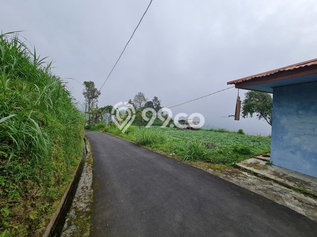 Lahan Investasi Lokasi Ngargoyoso Karanganyar SHM Lahan Investasi Lokasi Ngargoyoso Karanganyar SHM