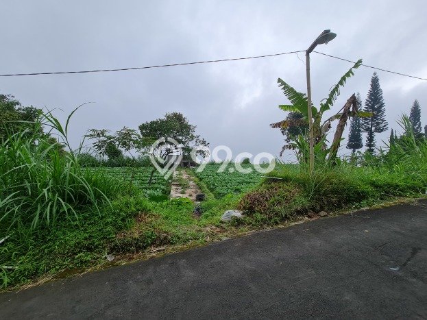 Lahan Investasi Lokasi Ngargoyoso Karanganyar SHM Lahan Investasi Lokasi Ngargoyoso Karanganyar SHM
