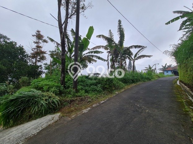 Lahan Investasi Lokasi Ngargoyoso Karanganyar SHM Lahan Investasi Lokasi Ngargoyoso Karanganyar SHM