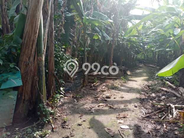 Tanah Komersial Dijual di Balaraja Tangerang 1705m2 Tanah Komersial Dijual di Balaraja Tangerang 1705m2