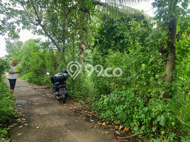 Tanah Kavling untuk Dijual di Kubutambahan Buleleng 1000m2 Tanah Kavling untuk Dijual di Kubutambahan Buleleng 1000m2