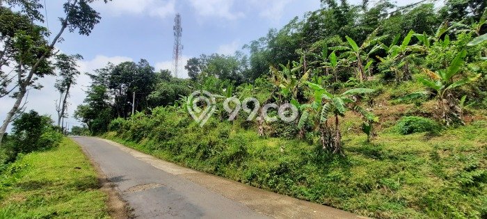 Lahan Kosong Dijual di Kerjo, Karanganyar, Luas 1531m2 Area Strategis Lahan Kosong Dijual di Kerjo, Karanganyar, Luas 1531m2 Area Strategis