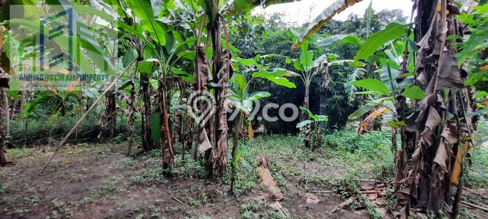 Kavling Tanah Dijual di Banyudono Boyolali Spesifikasi 1158m2 Kavling Tanah Dijual di Banyudono Boyolali Spesifikasi 1158m2