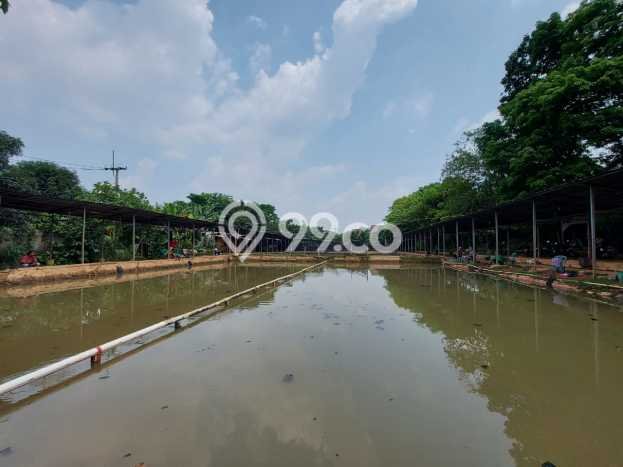 Jarang Ada! Tanah di Sawangan Punya Luas 4650m2 SHM Jarang Ada! Tanah di Sawangan Punya Luas 4650m2 SHM