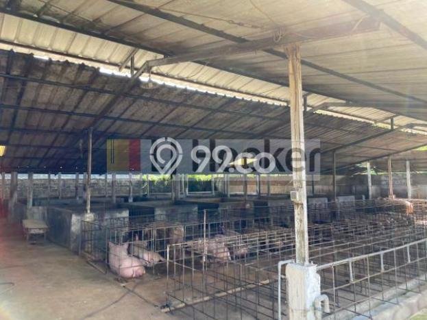 Tanah Dijual Lokasi Gunung Sindur, Bogor dengan Luas Tanah 1m2 dan Status SHM Tanah Dijual Lokasi Gunung Sindur, Bogor dengan Luas Tanah 1m2 dan Status SHM