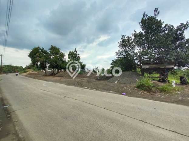 Tanah Dijual Lokasi Ranca Bungur, Bogor Luas 2500m2 Legalitas Aman Tanah Dijual Lokasi Ranca Bungur, Bogor Luas 2500m2 Legalitas Aman