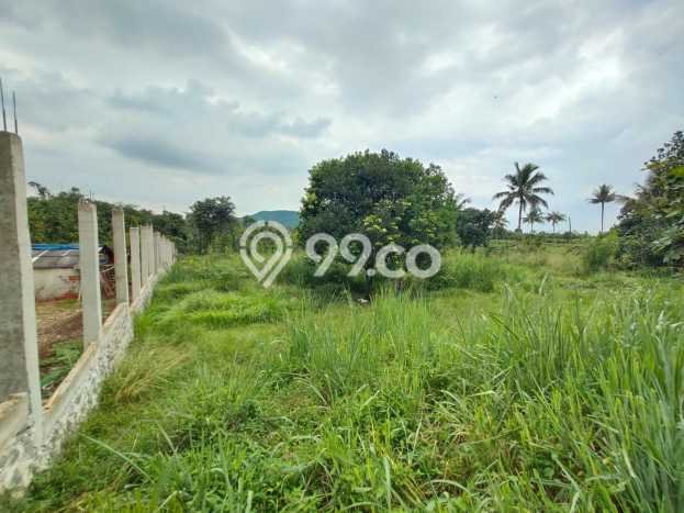 Tanah Dijual Lokasi Ranca Bungur, Bogor Luas 2500m2 Legalitas Aman Tanah Dijual Lokasi Ranca Bungur, Bogor Luas 2500m2 Legalitas Aman